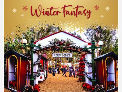 Sawdust Art Festival’s Winter Fantasy | Laguna Beach | Nov 22 - Dec 22