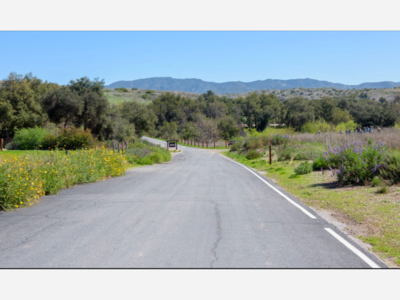 Nature Activities with Irvine Ranch Conservancy! | Various locations | Jul/Aug