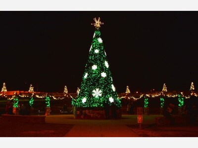 South Orange County Christmas Tree Lightings and More!