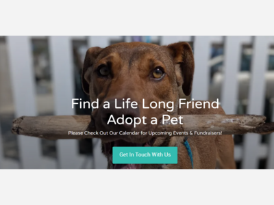 Adopt-A-Pet | Your next best friend needs your help...TODAY!