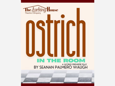 Ostrich in the Room | Grand Central Ars Center/The Larking House | Jun 19 - 28